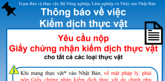 Có thể ngồi tù 3 năm nếu nhập cảnh Nhật Bản mà mang theo thứ này