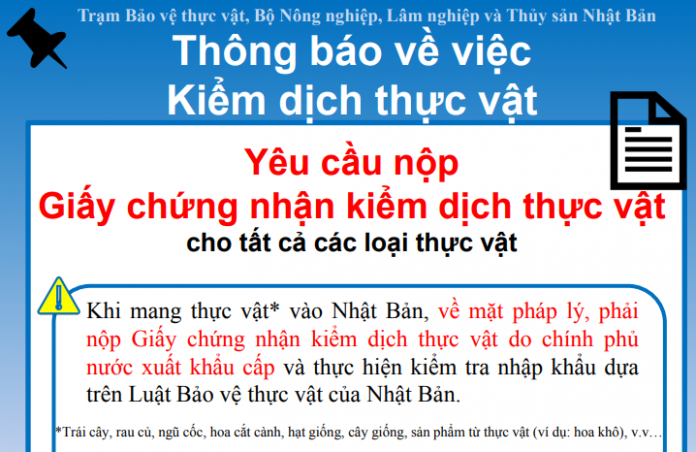 Có thể ngồi tù 3 năm nếu nhập cảnh Nhật Bản mà mang theo thứ này