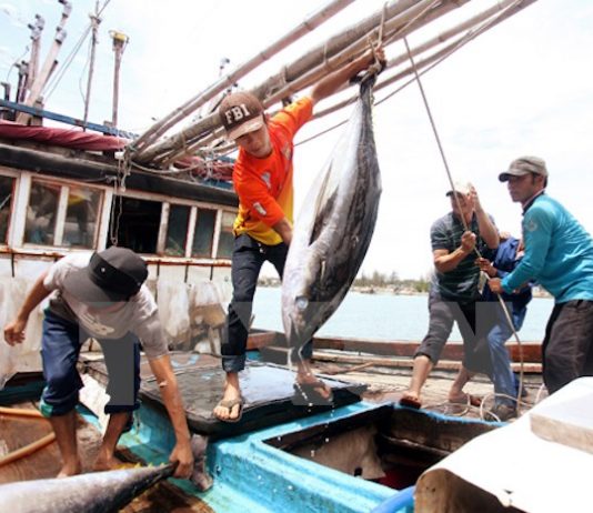 Lao động đi làm việc tại Thái Lan